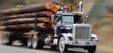 image of large truck hauling lumber